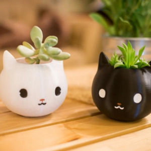 Meet your Posher, Anita